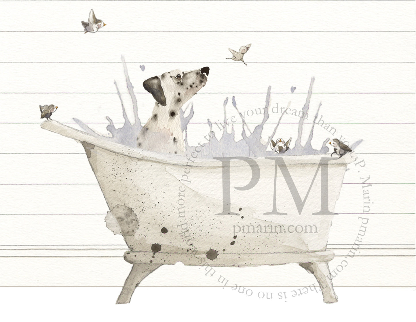 Boxed Greeting Card Set - Celebration of the Bubble Bath: Dogs at Bath Time