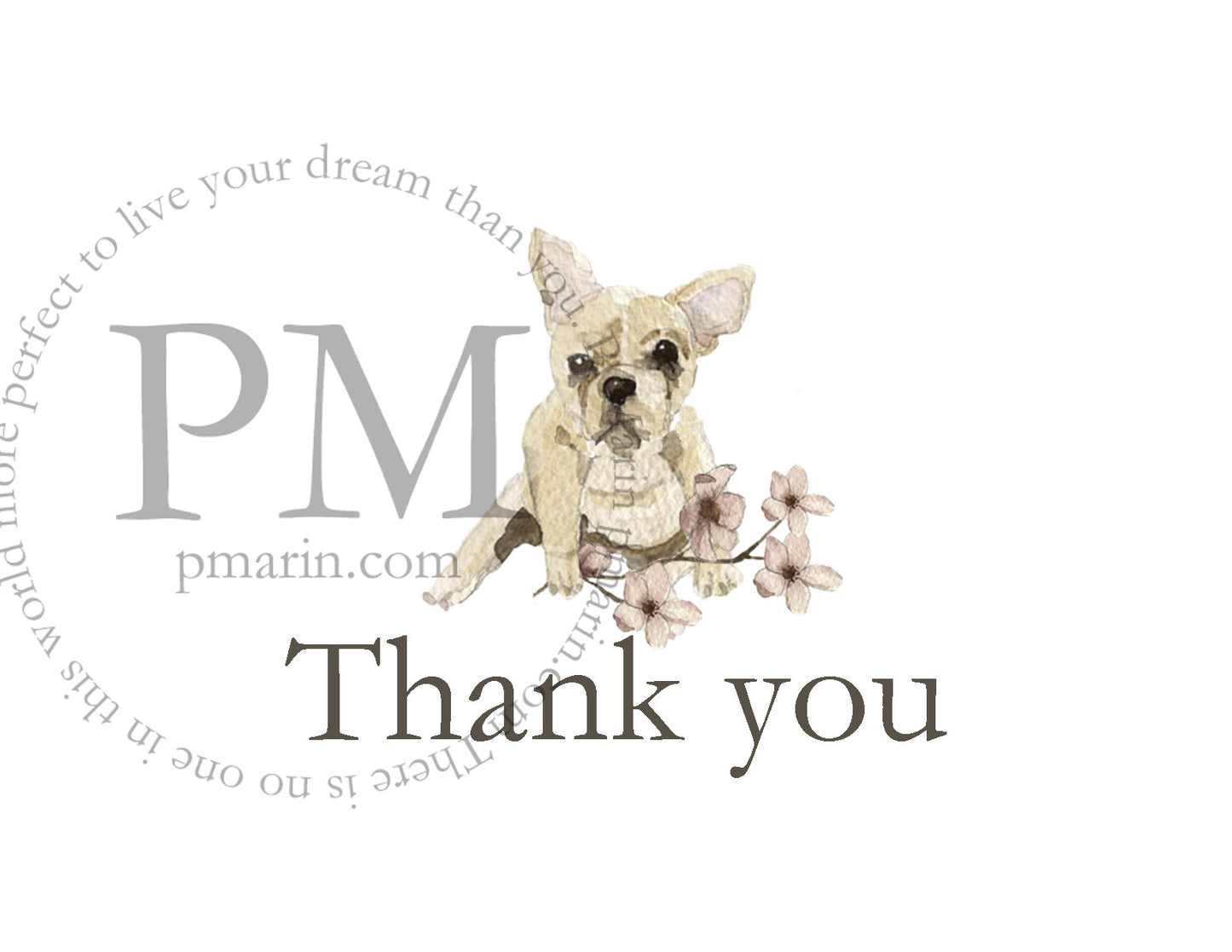 Boxed Greeting Card Set: "Thank You" Dog Lovers